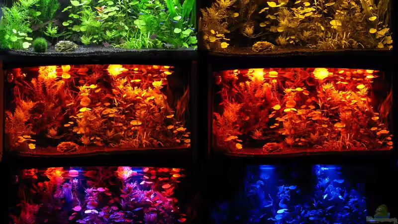 Sonnenuntergang von ZYX82 (5)