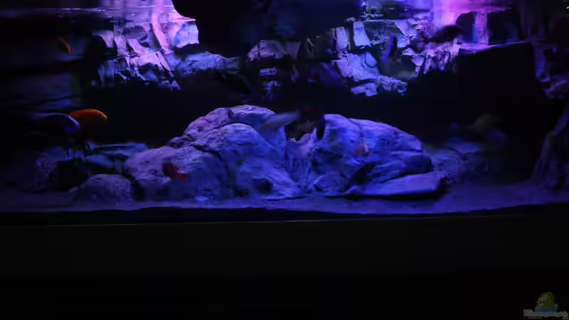 Sonnenuntergang Vor Umgestaltung  von skipper1202 (4)