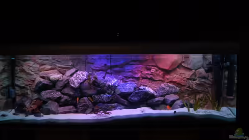 Sonnenuntergang zu Mondlicht ??bergang von Calimero (3)