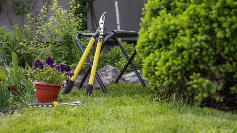 Sonntagsruhe im Garten: Das ist erlaubt - und das solltest du unbedingt beachten
