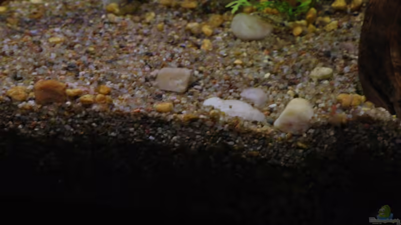 Sorra amb pedra de quartz von lomarraco (90)