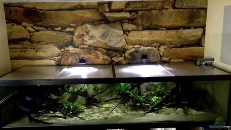 South America von Jürgen Herb (1)