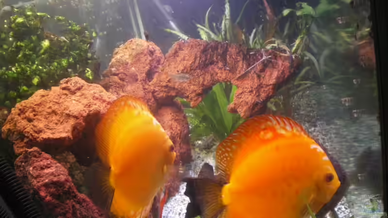 ~SouthRedRiver~ von Baschtel (1)