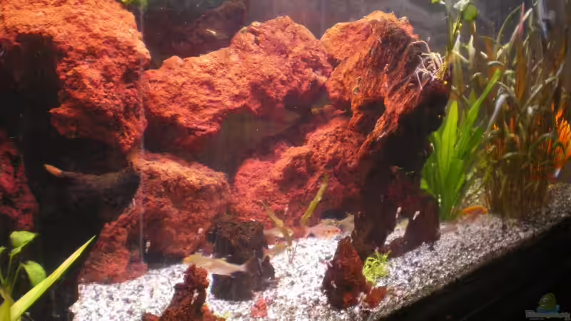 ~SouthRedRiver~~Lavagestein~ von Baschtel (5)