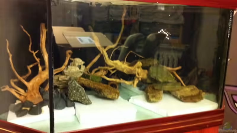 soweit so gut............ von Snakehead (11)