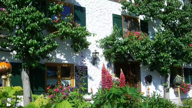 Spalierbäume als Lösung für klare Gartenstrukturen