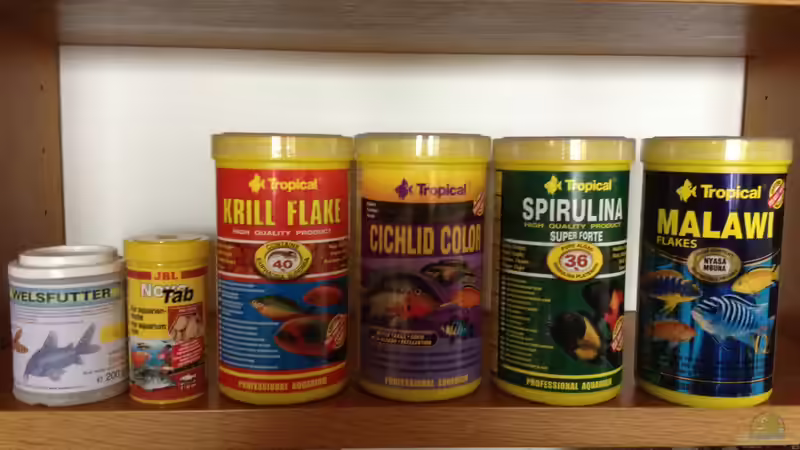 Speisekarte von F.I.E.T.E. (31)