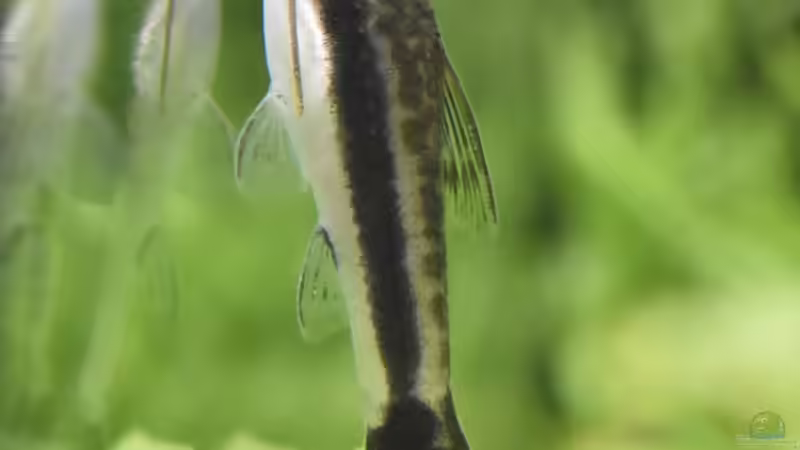 Spiegelbilder von Josef Kalt (10)