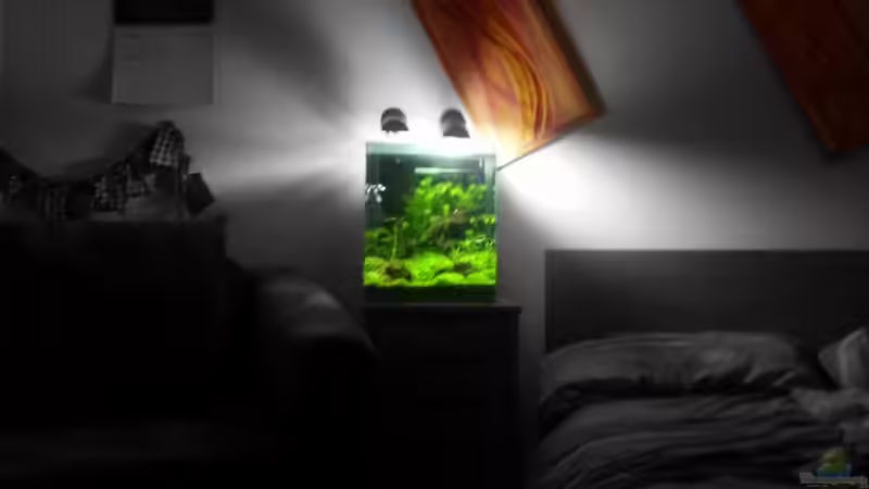 Spielerei von M to the ilan (2)