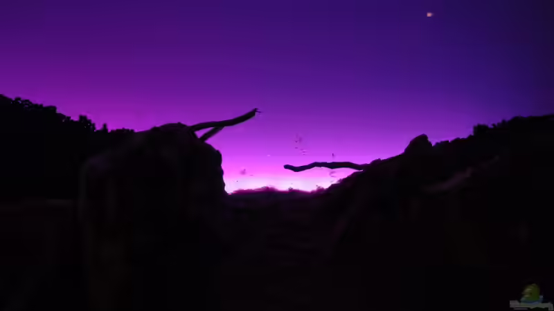 Spielereien mit der RGB LED Rückwand von Bjarke (3)