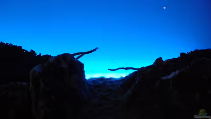 Spielereien mit der RGB LED Rückwand von Bjarke (4)