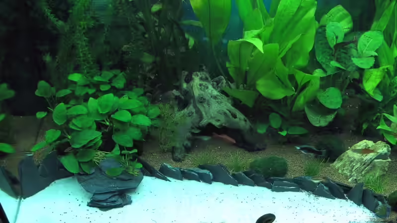 Spielplatz von H.G Wells (3)