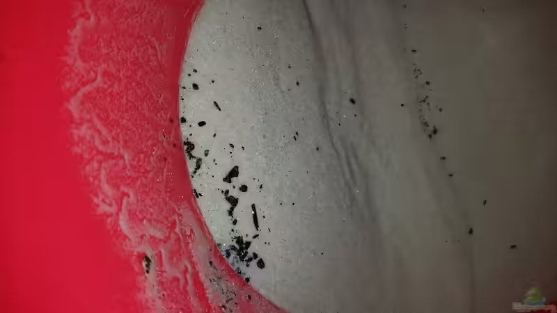 Spielsand voller Kohle ...keine Lust das raus zu waschen ! von Gunnar2060 (24)