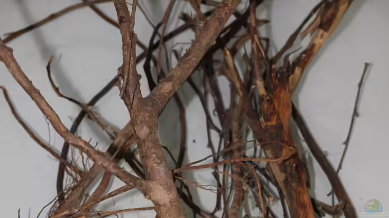 spielt in meinem nächsten Blog auch ne Rolle... von Falk (12)