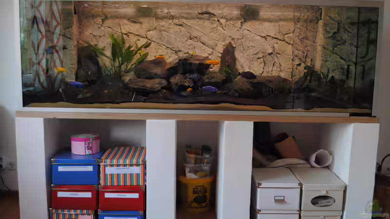 Spielwiese *-* von rOCkStaR (1)