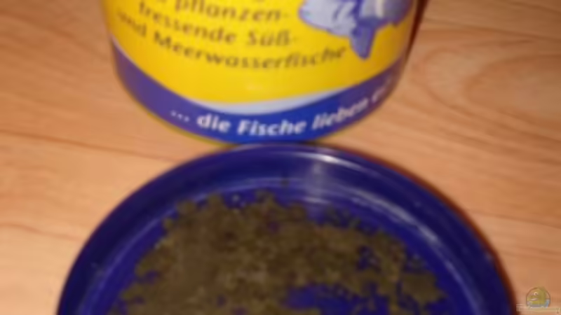 Fütterung mit Flockenfutter (Zierfischfutter)