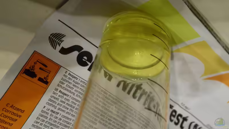 spontaner test, ww etwas überfällig. von Angelheart (10)