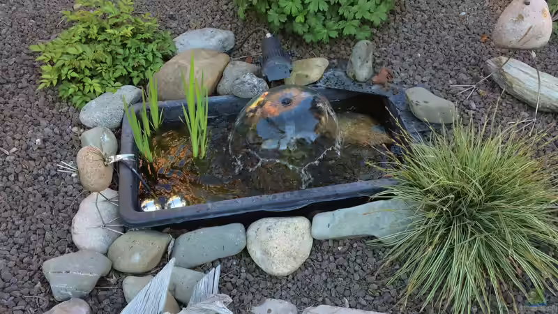 Springbrunnenpumpe von herkla (17)