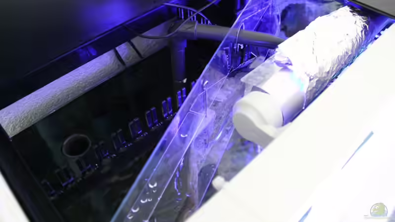 Springschutz aus Plexiglas von Michael Reiz (43)