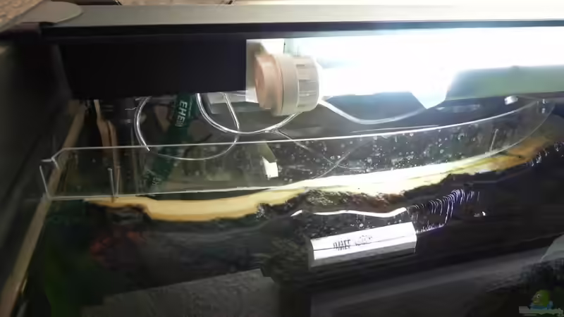 Springschutz von Sternenseeträumer (22)