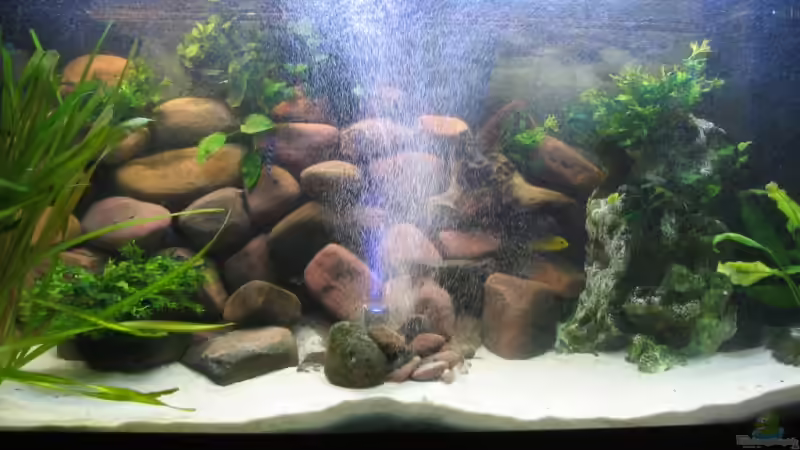 Sprudelstein für dein Aquarium - Welches Material ist das Beste?