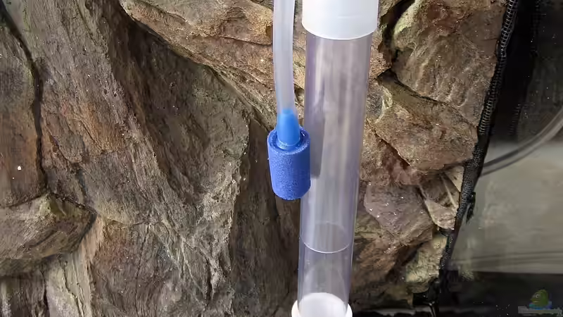 Sprudelstein vor der Integration im Steigrohr von Micha (20)