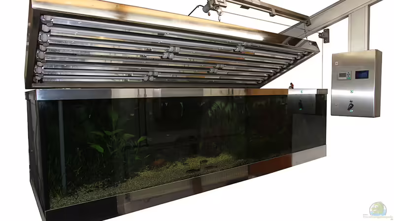 SPS-Aquarium von Alex Ströhlein (3)