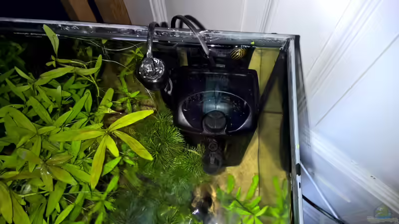 Stabheizung und Filter von Martin L. (7)