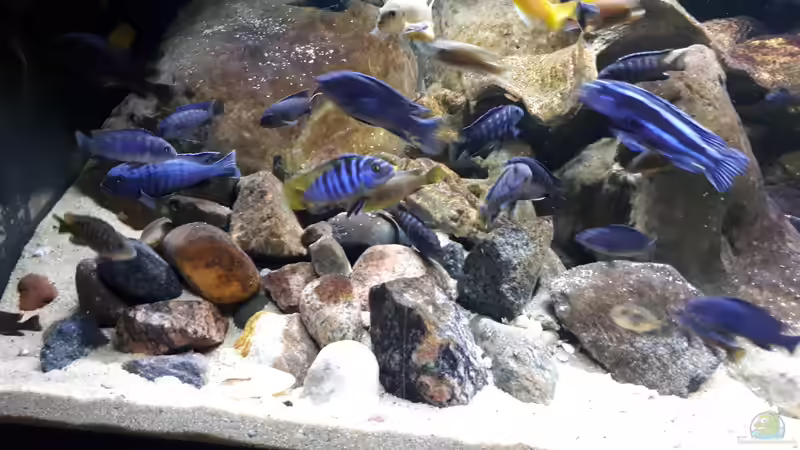 stärkere Tiefenwirkung durch von Vorn nach Hinten ansteigende Steinaufbauten von Miketsch (14)