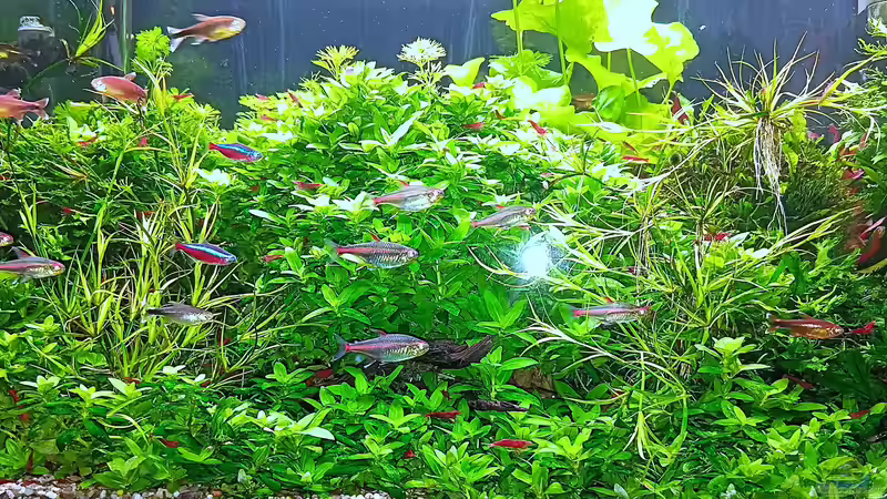 stand - 02.11.2025 von odin 68 (11)