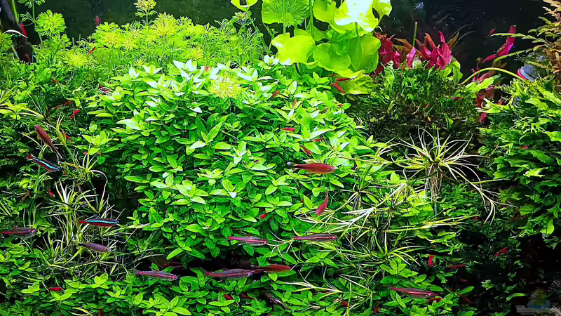 stand - 02.11.2025 von odin 68 (15)