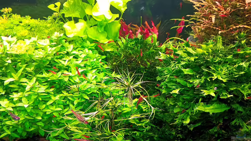 stand - 02.11.2025 von odin 68 (16)