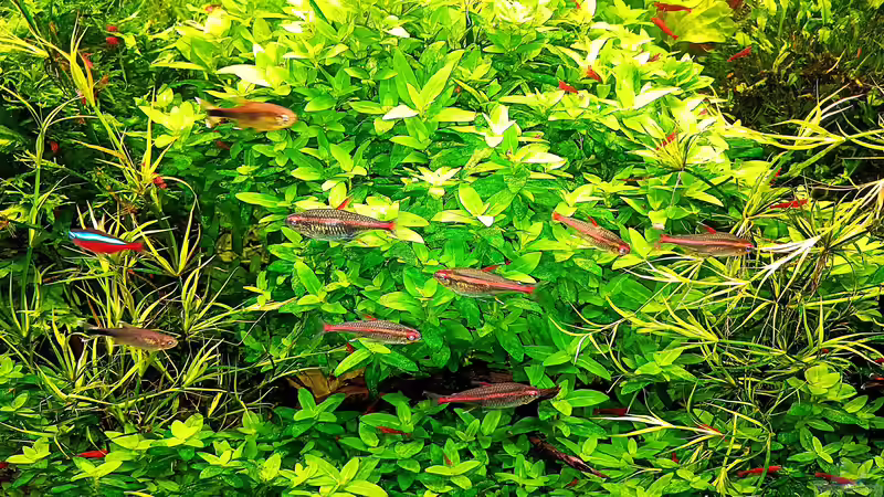 stand - 02.11.2025 von odin 68 (6)