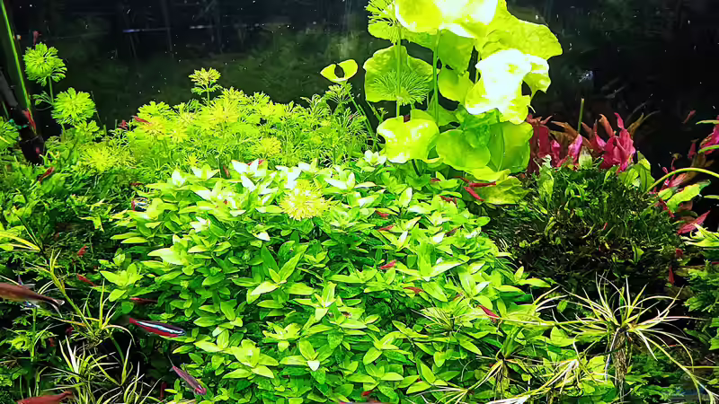 stand - 02.11.2025 von odin 68 (7)