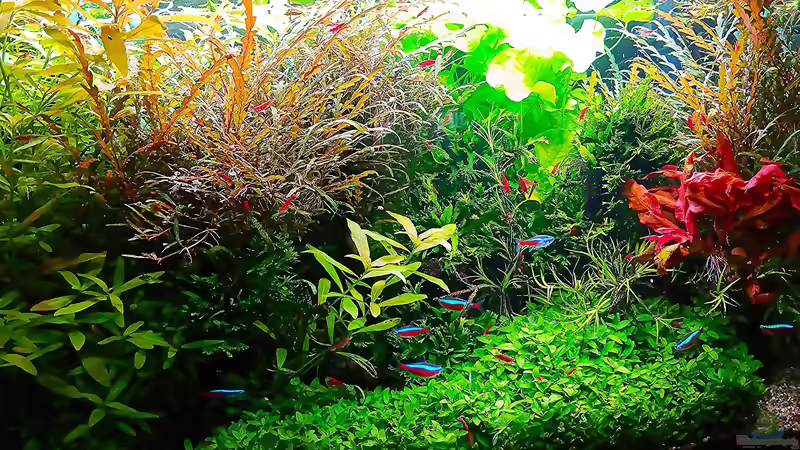 stand - April 2024 von odin 68 (56)