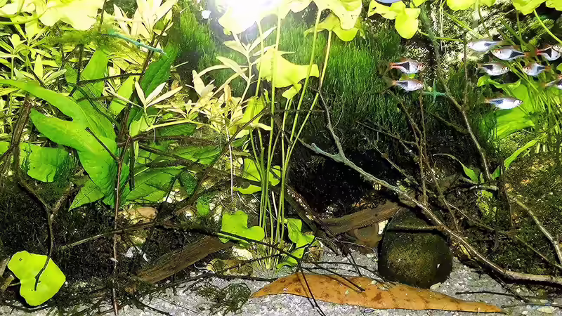 Stand - Juli - 2020 von odin 68 (86)