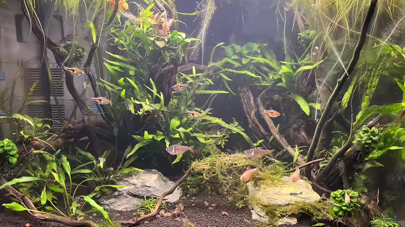 Stand: 04.07.2023 von Rena (1)