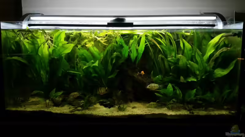 Stand: 17.4.2015 von David S. (1)