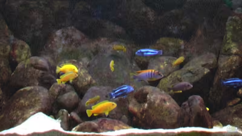 Stand: 21.02.2006 von Tilo Schmiedl (8)