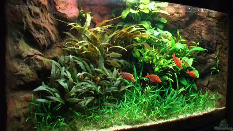 Stand: 21.03.2006 von Tilo Schmiedl (1)