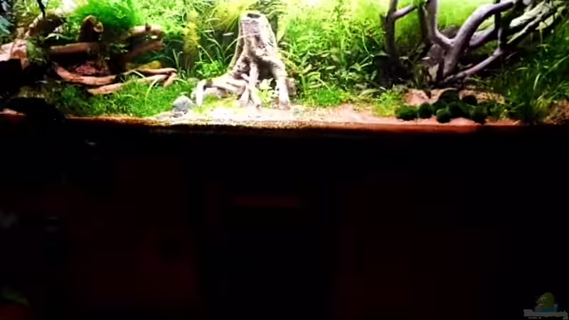 Stand  Januar 2013 von snooze (21)