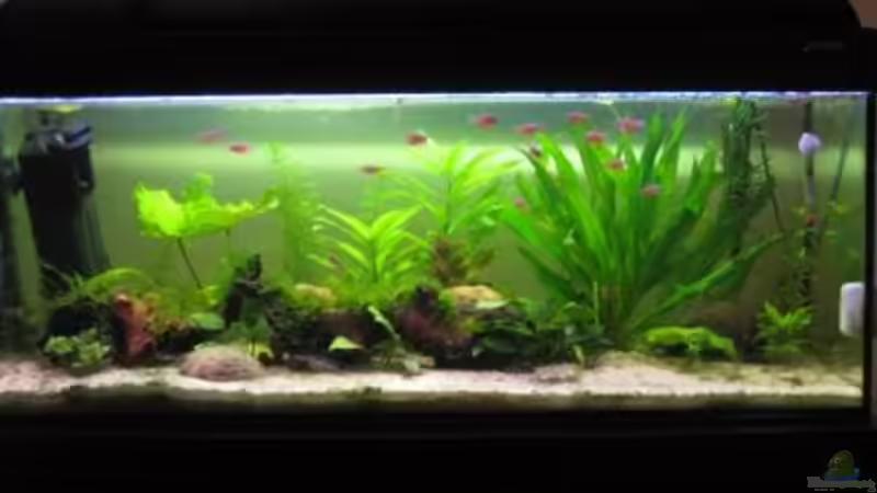 Stand 01.03.11 von Stephan Radtke (2)