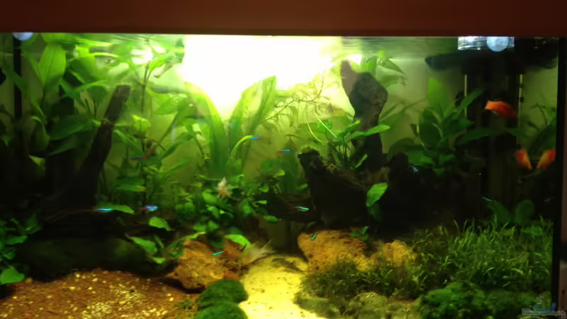 Stand 01.04.2013 von spanky_cruz (13)