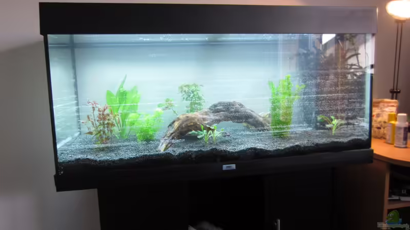 Stand 01.05.2013 von Mondüüü (2)