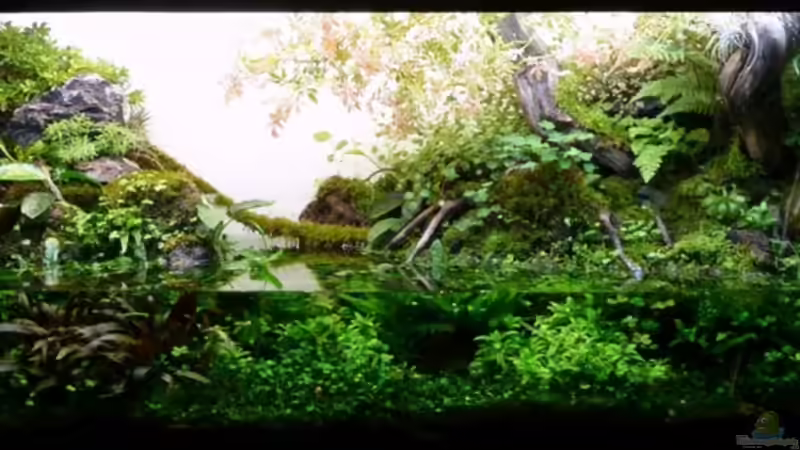 Stand 01.06.11 von -serok- (2)