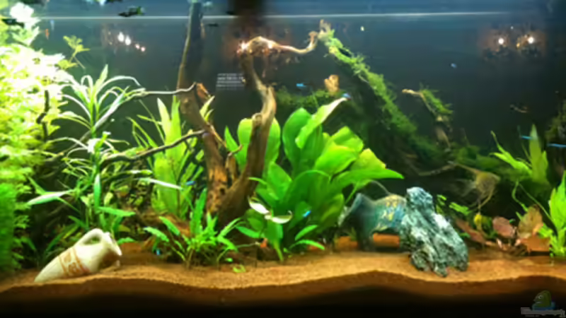 Stand 02-04-10 von Flevus (7)