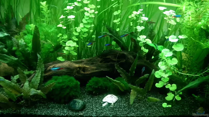 Stand 02.05.2014 von Mondüüü (7)