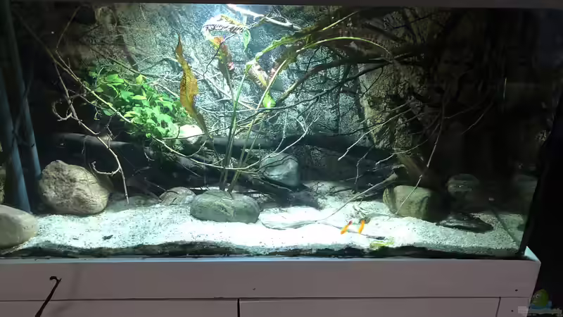 Stand 02/2020 von Basti@ (2)