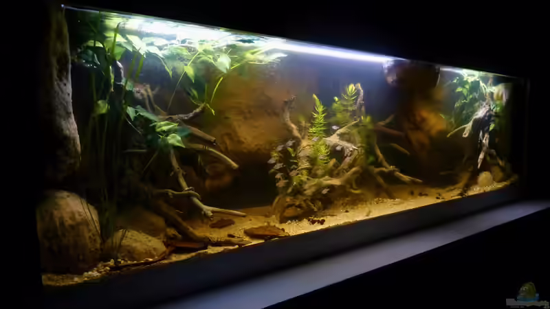 Stand 03.03.14 knapp 2 Wochen Laufzeit von ~Marco~ (9)