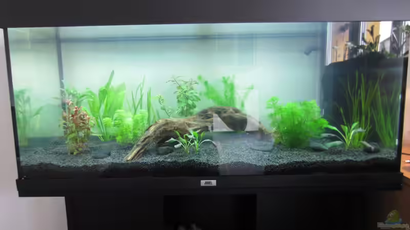 Stand 03.05.2013 von Mondüüü (3)